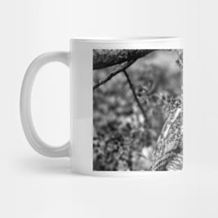 Black and White Owl Mug